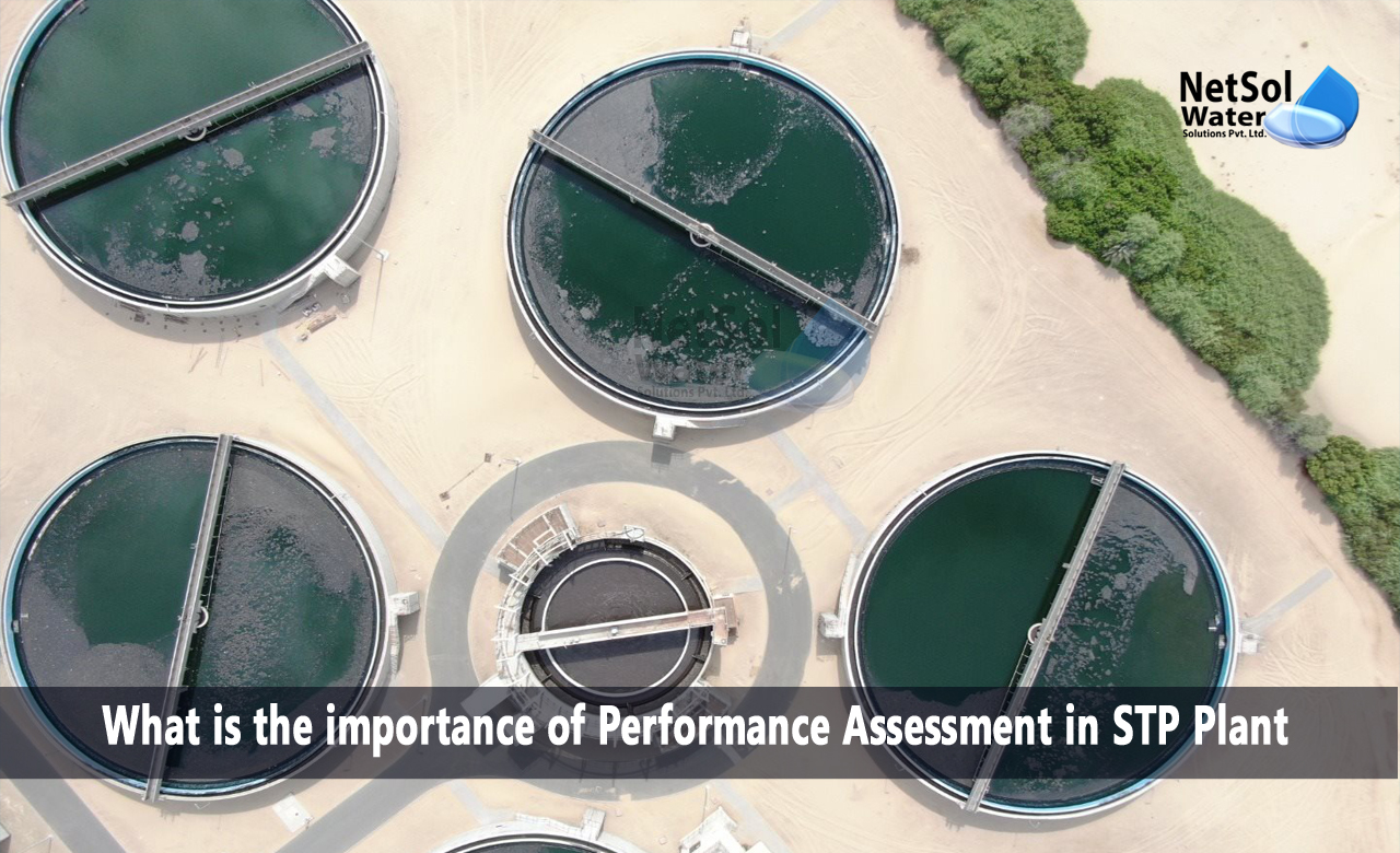 Importance of Performance Assessment in STPs