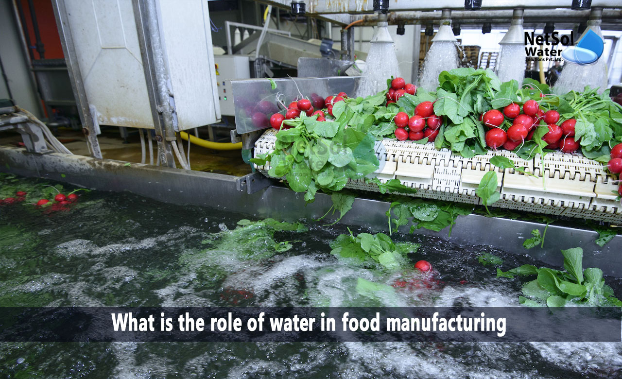 What is the role of water in food manufacturing, Who sets the requirements for water quality in the food and beverage sector