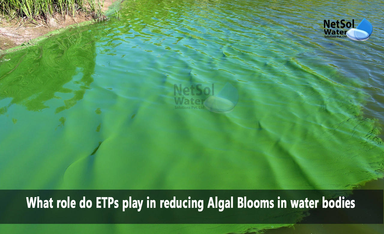 what causes algal blooms in freshwater, how to prevent algal blooms, What role do ETPs play in reducing Algal Blooms in water bodies