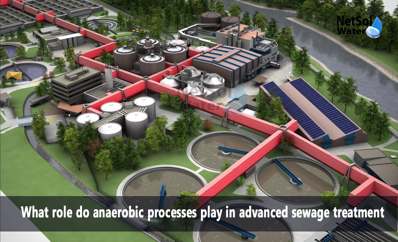 What is the role of anaerobic bacteria in sewage treatment, What is the role of anaerobic respiration in sewage treatment, What is the anaerobic process in sewage treatment