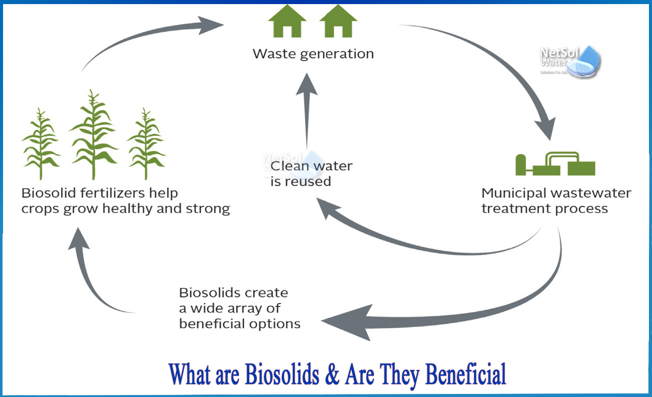 what is biosolids, are biosolids safe to use in agriculture, what happens to biosolids