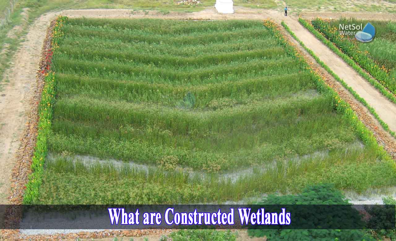 constructed wetlands in india, constructed wetlands advantages and disadvantages, surface flow constructed wetlands
