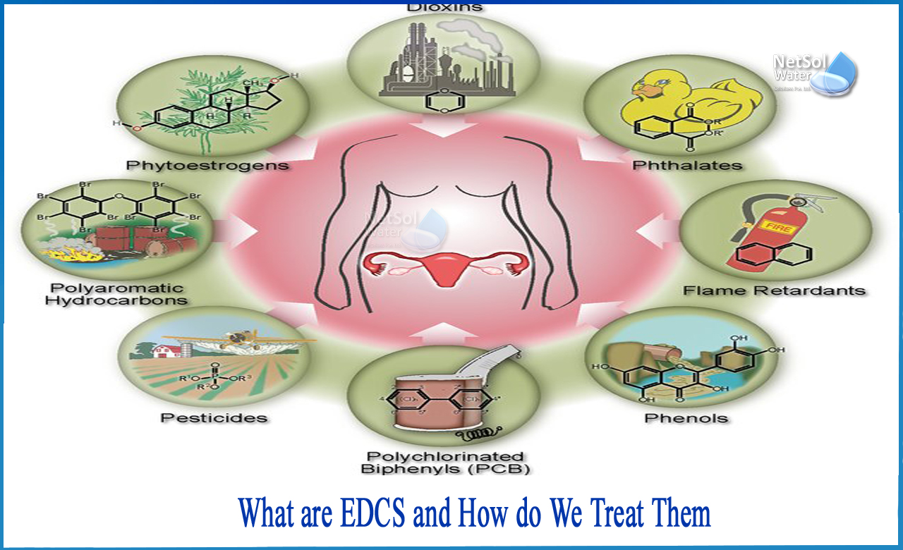 what are endocrine disrupting chemicals, where are edcs found, how to avoid edcs