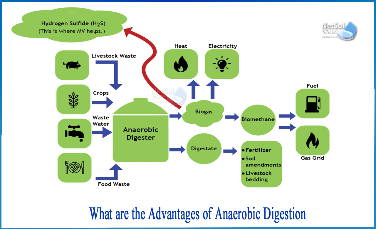 advantages and disadvantages of anaerobic digestion, is anaerobic digestion good for the environment, what is anaerobic digestion
