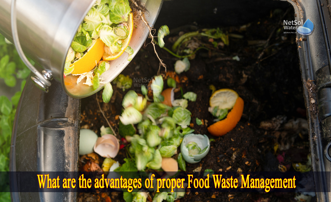 advantages and disadvantages of food waste, what is food waste management, why is it important to reduce food waste