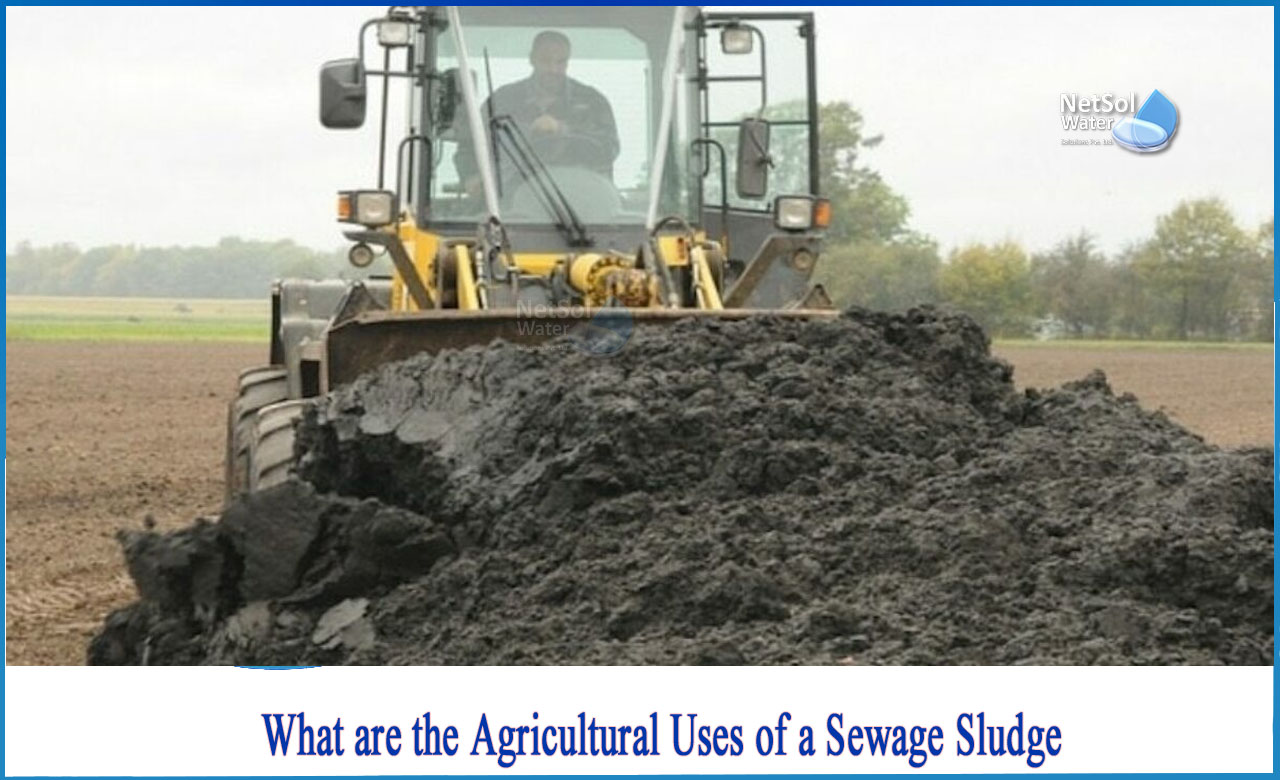 disadvantages of using sewage sludge in agriculture, use of sludge in agriculture, sewage sludge production in India