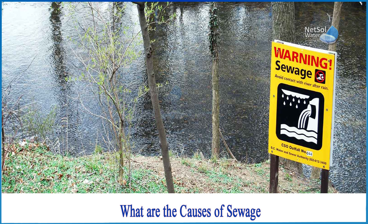 causes of sewage pollution, what is sewage, types of sewage, composition of sewage