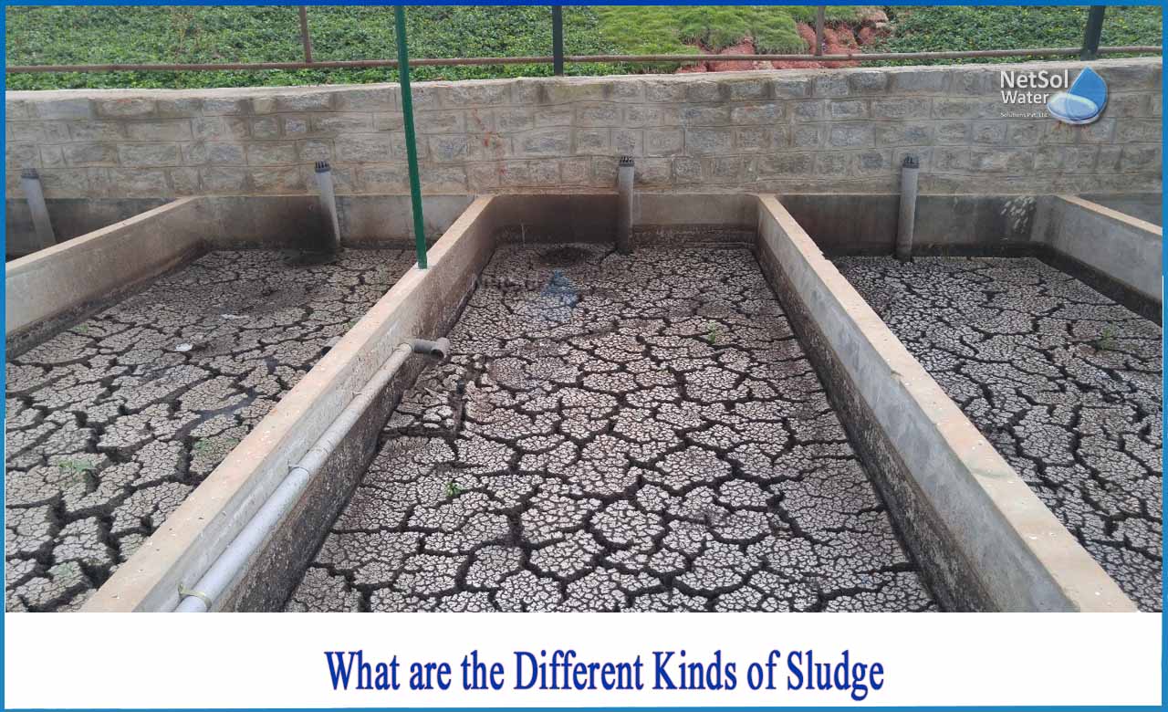 types of sludge, what is sludge, characteristics of sludge, types of sludge treatment, uses of sludge, what is sludge explain how it is treated, two uses of sludge