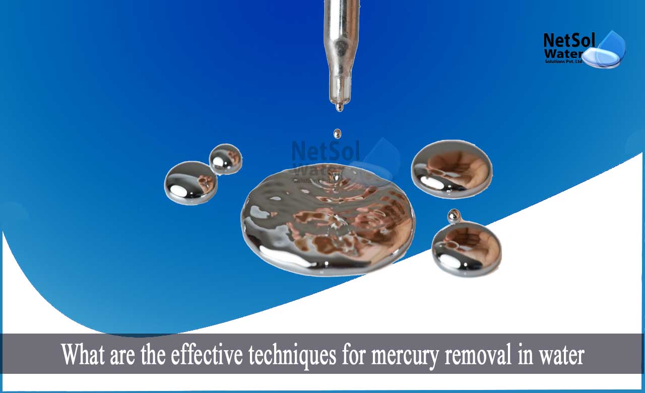 how to remove mercury from rivers, removal of mercury from wastewater, Removal of Mercury by Reverse Osmosis