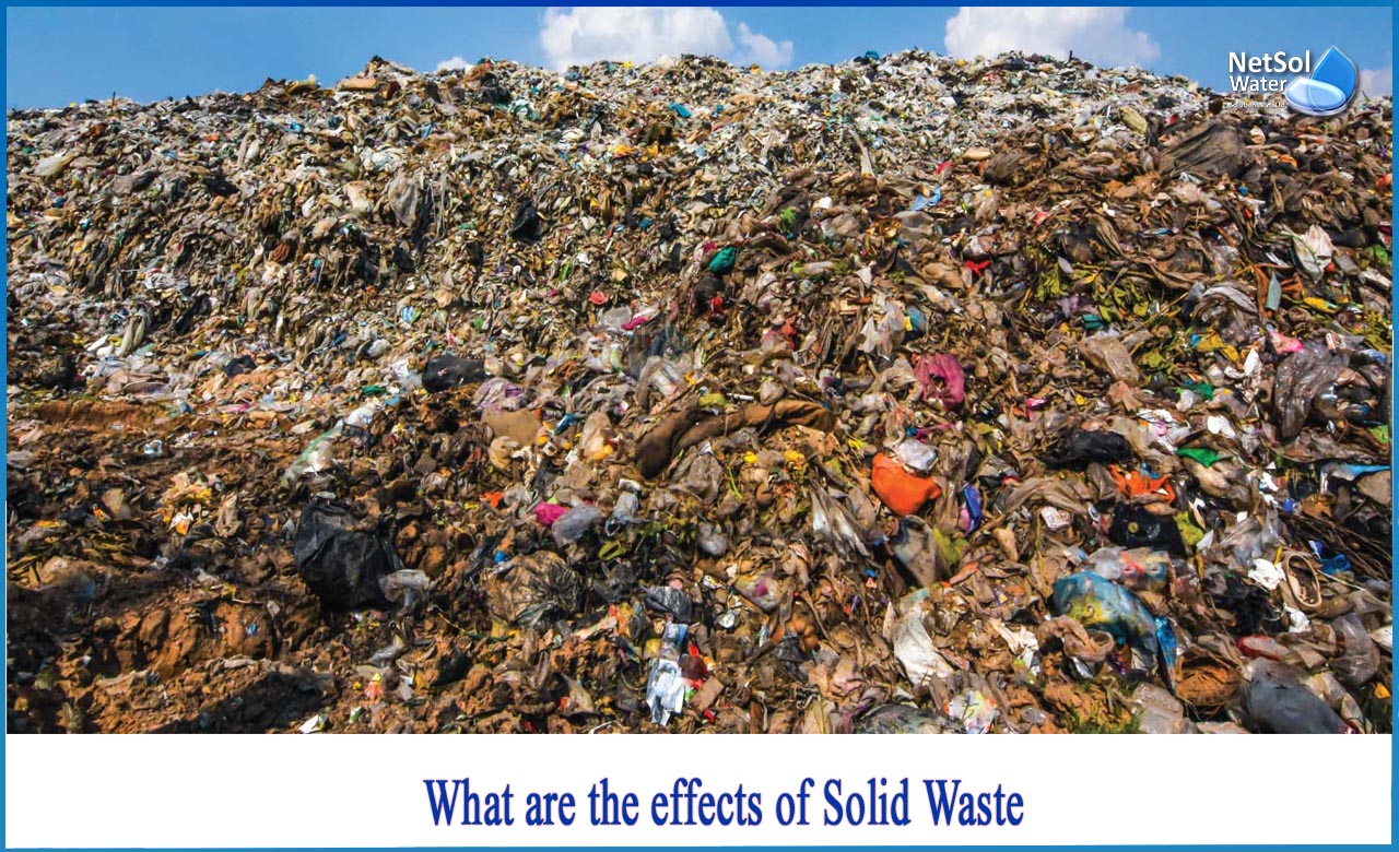harmful effects of solid waste, effects of solid waste on environment, effects of garbage on human health