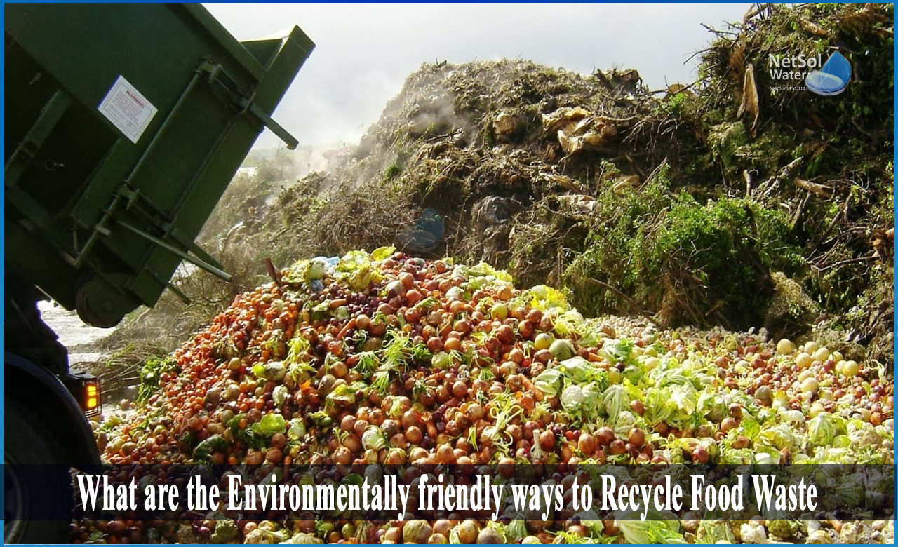 reduce reuse recycle food waste, how to recycle food waste at home, food waste management