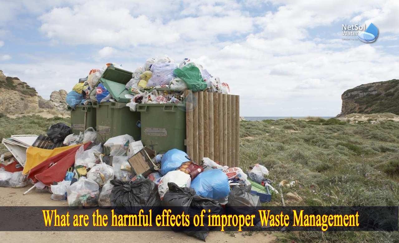 what are the effects of improper waste disposal, what are the harmful effects of waste, effects of improper waste disposal