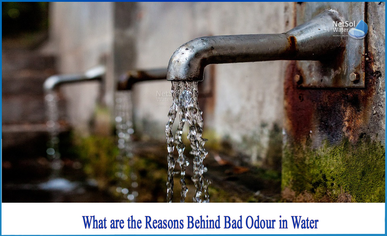 causes of odour in water, how to get rid of smelly water, define taste and odour of water