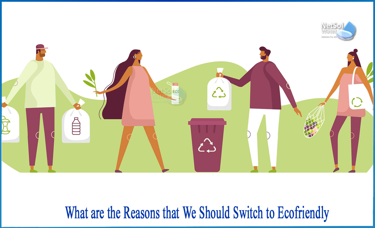 why should we go green give five reasons, importance of eco friendly products, why is it important to go green in your workplace