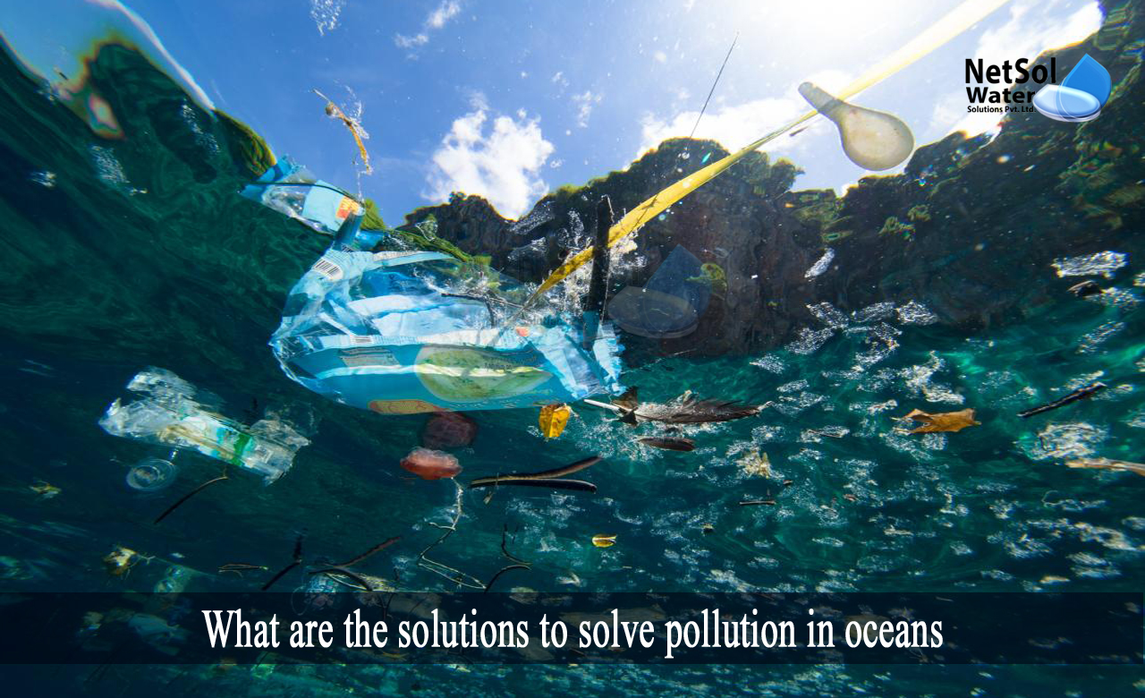 solutions to plastic pollution, how to prevent plastic pollution in the ocean, what is ocean pollution