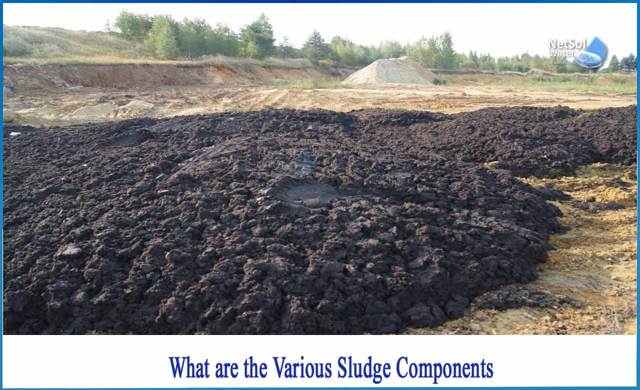 composition of sludge, sludge wastewater treatment, what is sewage sludge, composition of activated sludge