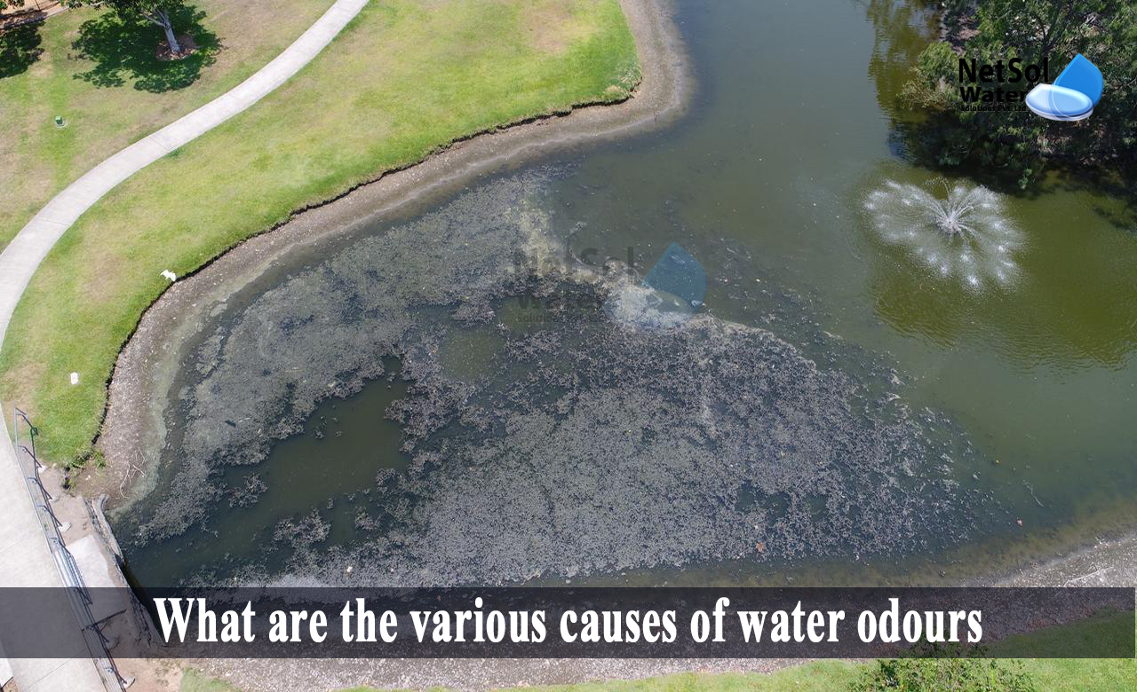 what is the odor of water, how to remove smell from water tank, causes of odour in water