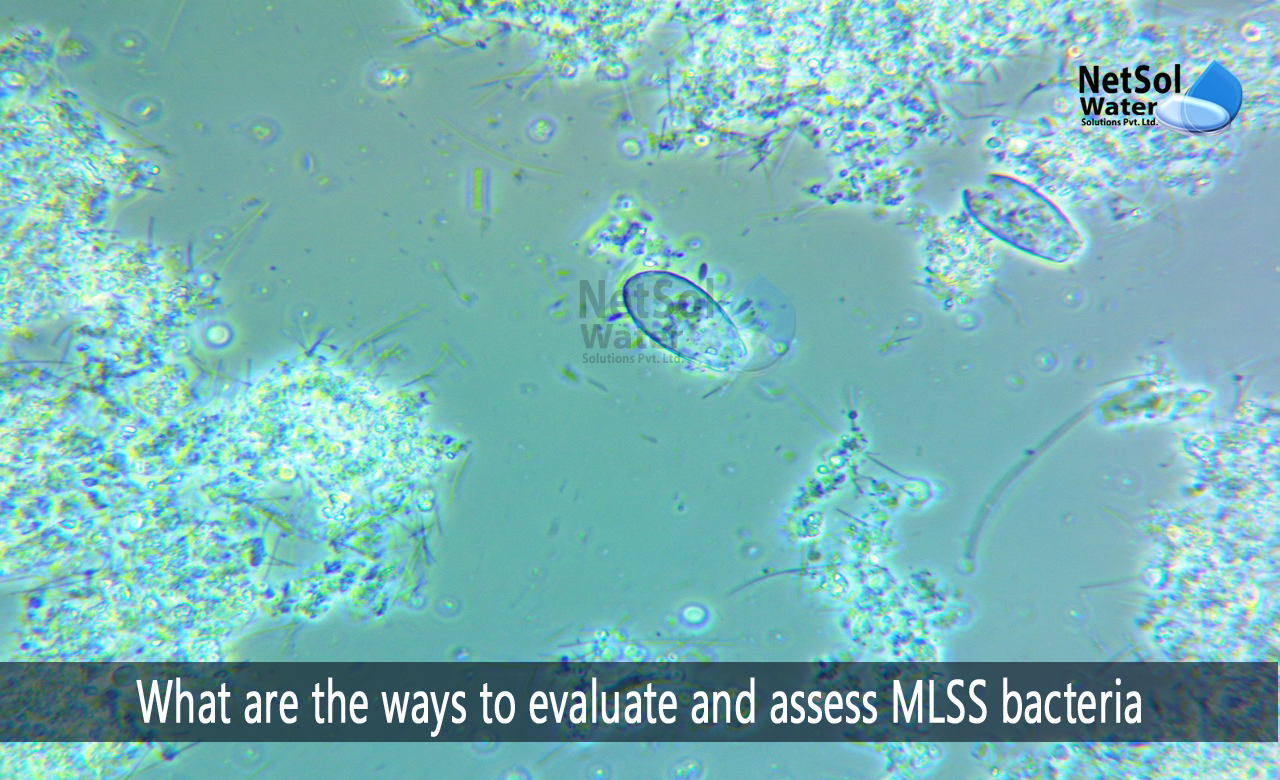 what is mlss, what is mlss in wastewater treatment, mlss range in aeration tank