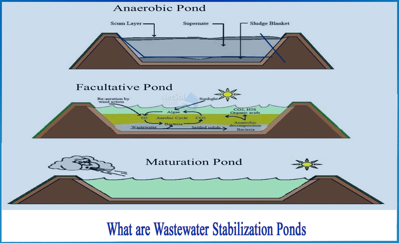 waste stabilization ponds, types of stabilization ponds, stabilization ponds advantages and disadvantages