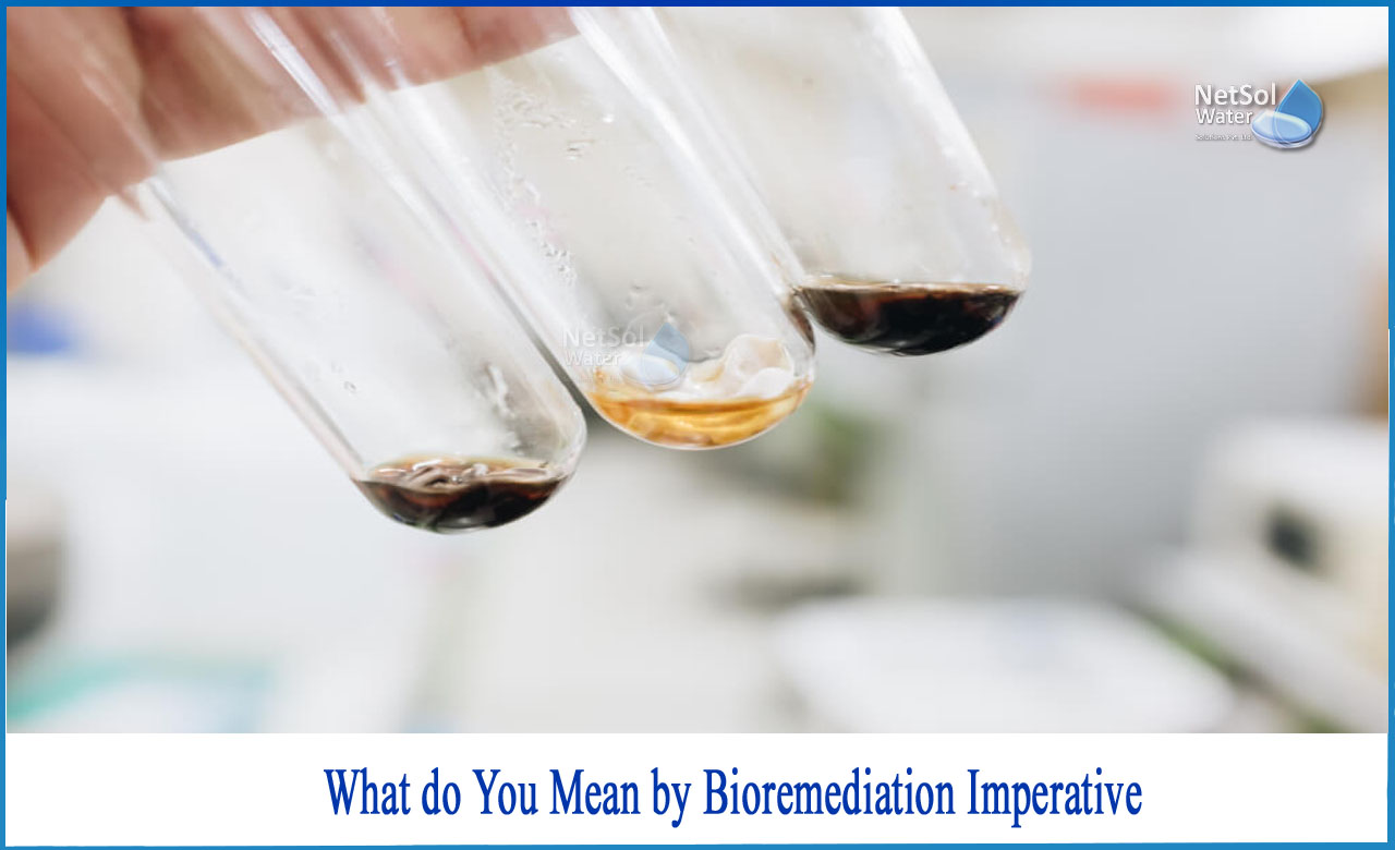 define bioremediation, what is bioremediation used for, types of bioremediation