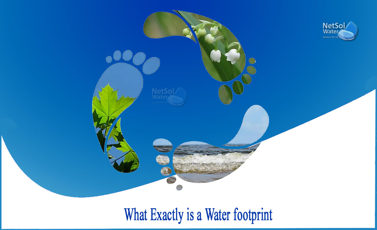types of water footprint, what is grey water footprint, why is water footprint important