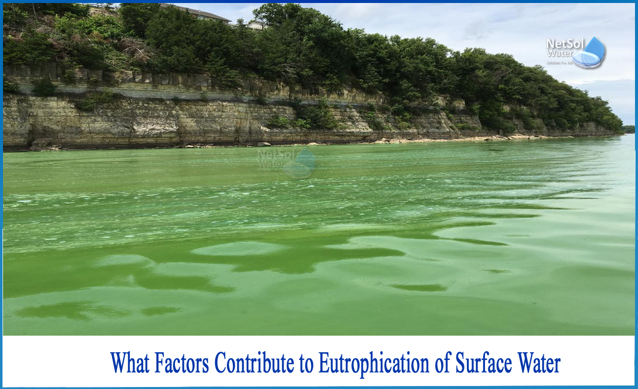 what causes eutrophication, how to prevent eutrophication, is eutrophication good or bad