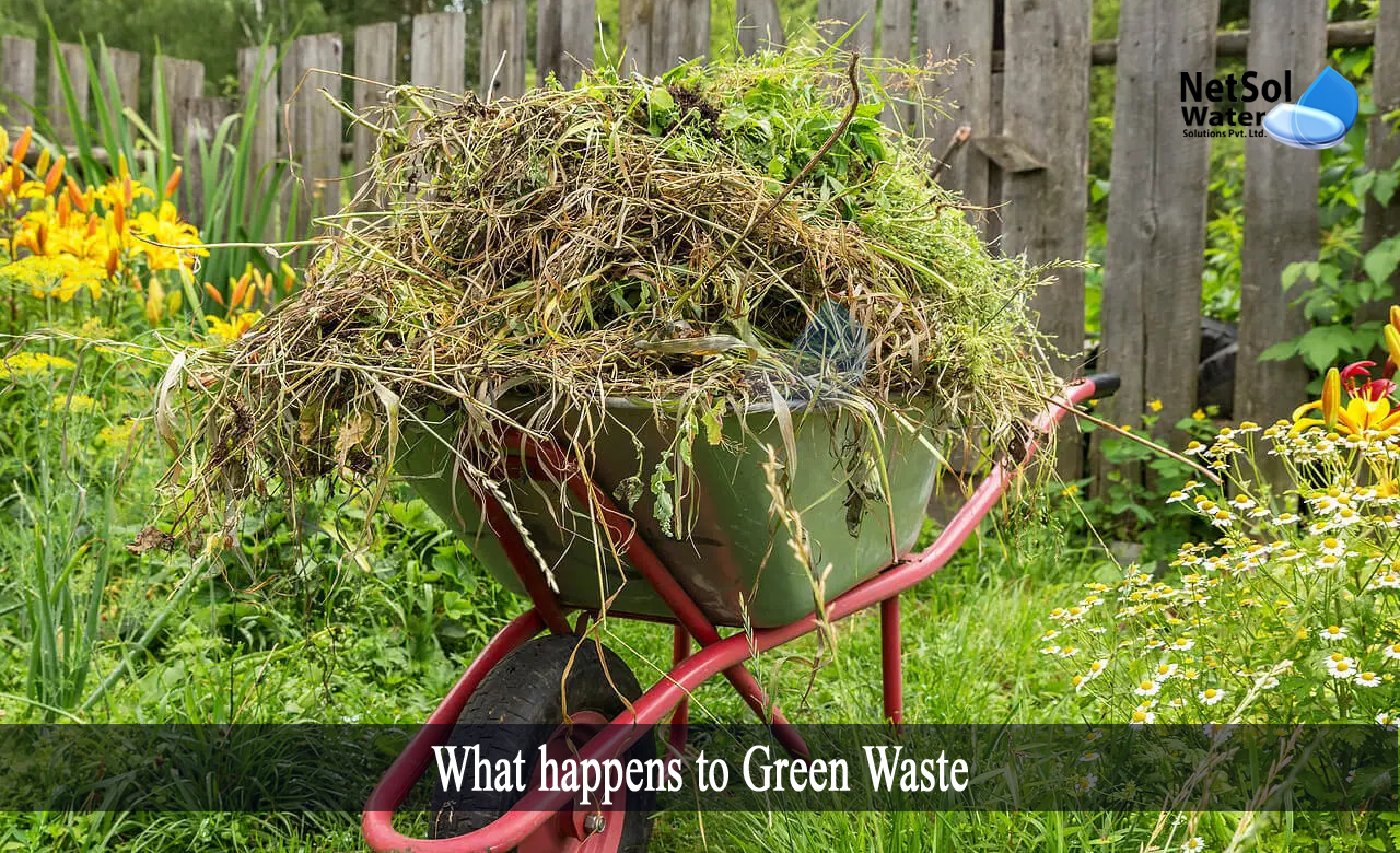green bin is used for dry waste, what is green waste, green waste management