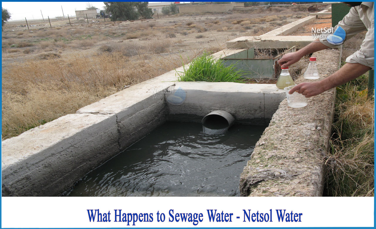 what happens to sewage water after treatment, what happens to sewage water after it is treated, what happens to human waste after treatment