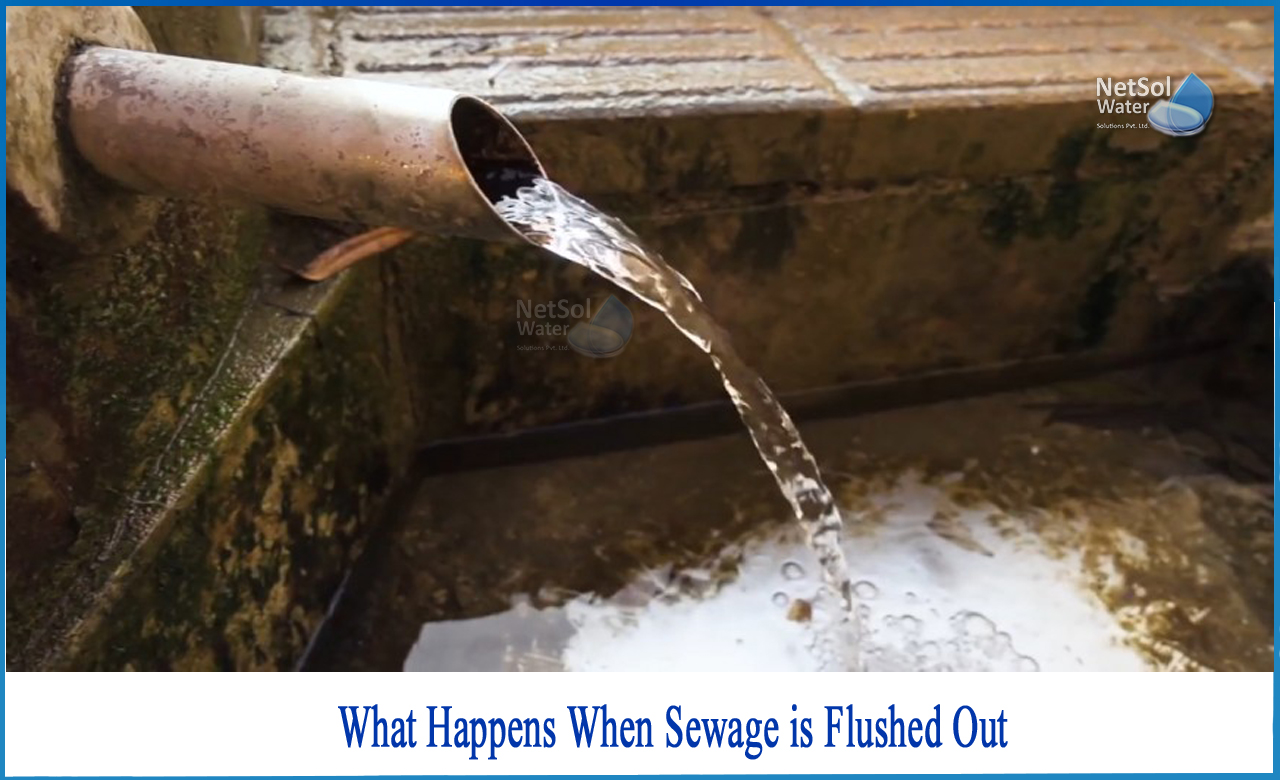what happens to sewage after treatment, what happens to sewage sludge, what happens at a wastewater treatment plant