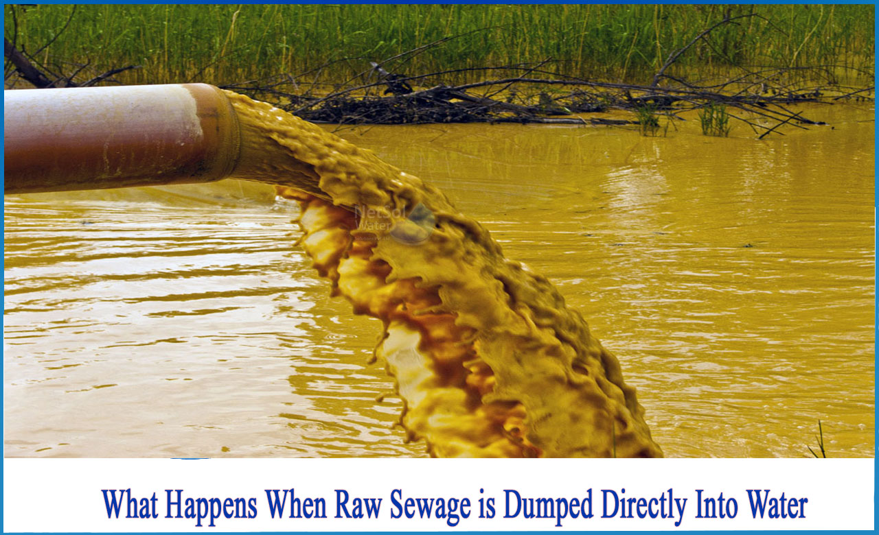 harmful effects of untreated sewage, diseases caused by sewage water, how does the improper sewage system in the cities affect the quality of water