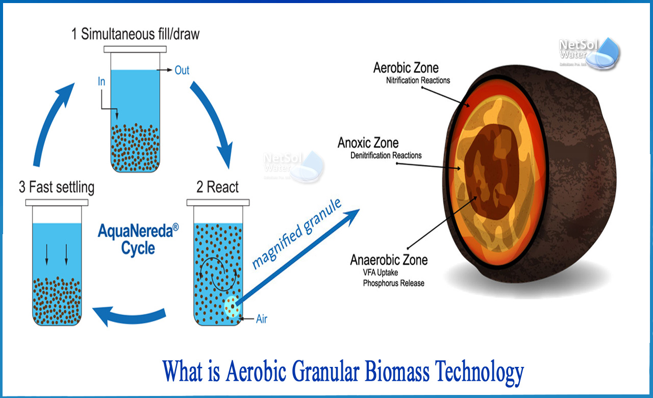 granular sludge vs activated sludge, ags wastewater treatment, sewage treatment technologies in india