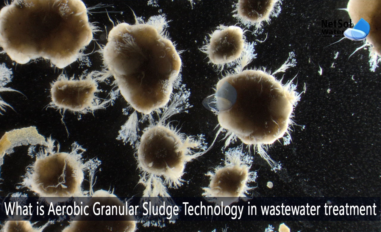 granular sludge vs activated sludge, activated sludge process in wastewater treatment, latest wastewater treatment technologies