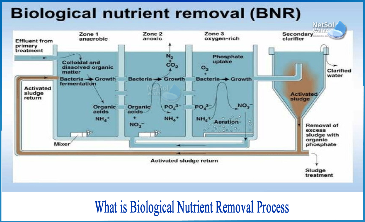 nutrient removal in wastewater treatment, biological nutrient removal, nutrient removal from wastewater