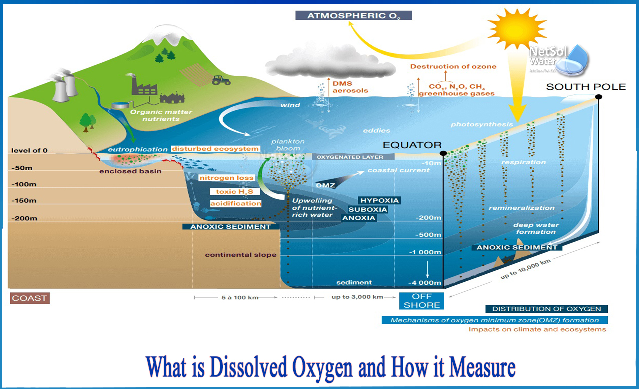 Oxy hòa tan là gì? Hiểu về khái niệm và vai trò của oxy hòa tan trong chất lượng nước