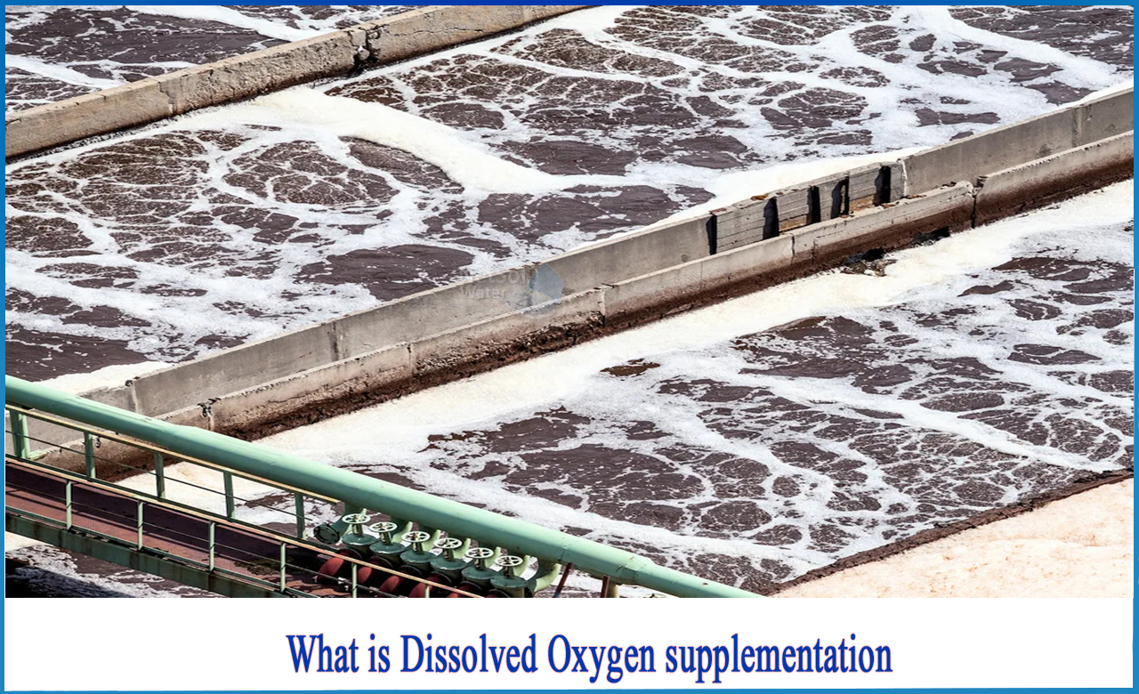 why is dissolved oxygen important, how to measure dissolved oxygen in water, what affects dissolved oxygen levels in water