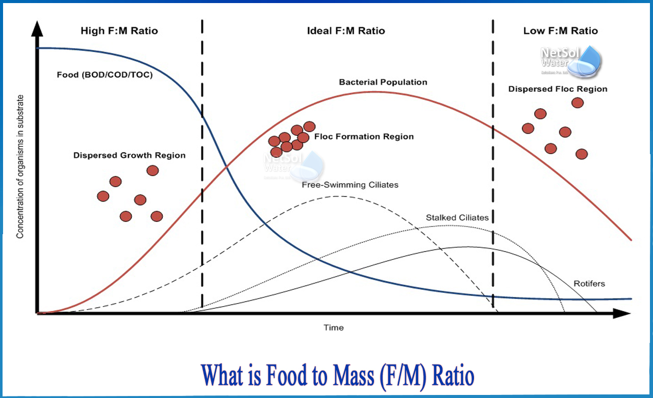 what is FM ratio in wastewater, food to mass ratio formula, what is a good FM ratio