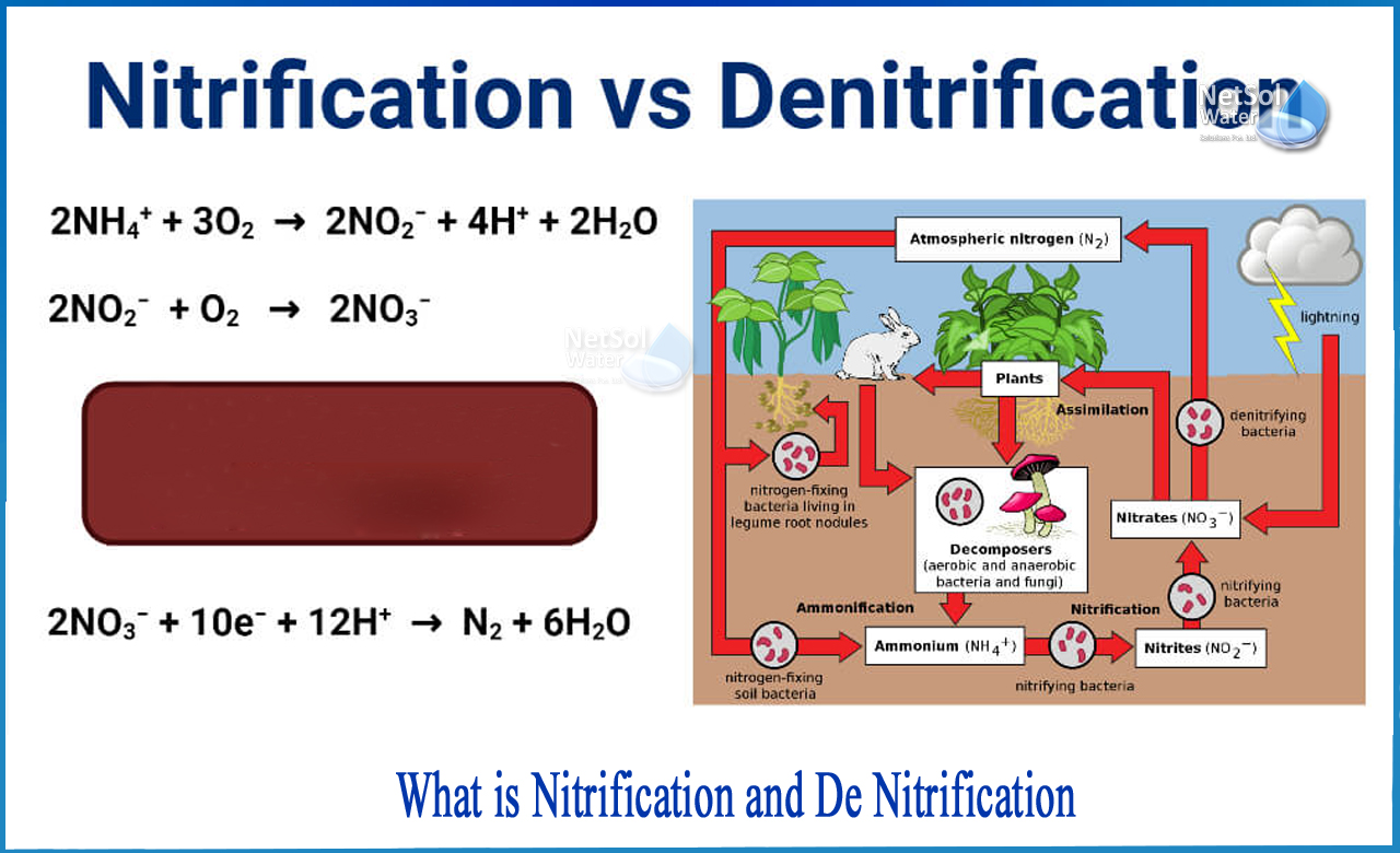what is nitrification and denitrification in wastewater treatment, nitrification and denitrification, denitrification process