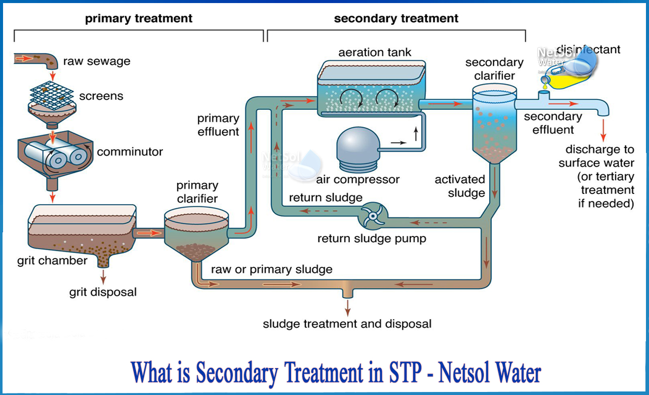 secondary treatment of wastewater involves, explain the different steps involved in sewage treatment, the secondary treatment of sewage is caused by bacteria