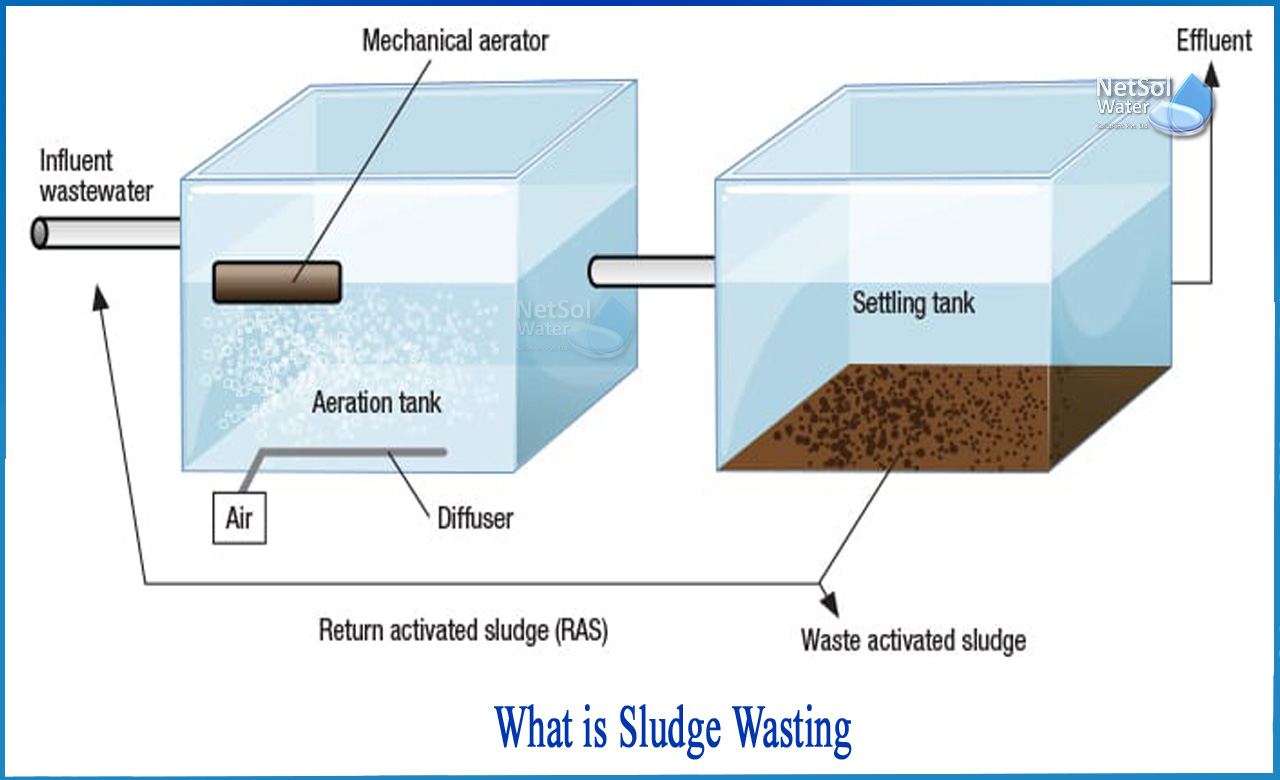 sludge settling problems, how to remove floating sludge, activated sludge troubleshooting chart