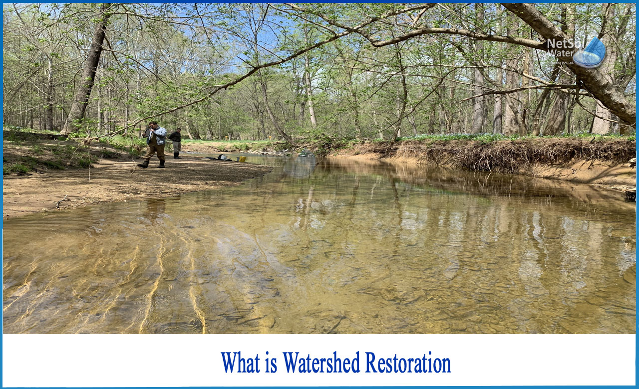 floodplain connectivity, fishing conservation, What is Watershed Restoration