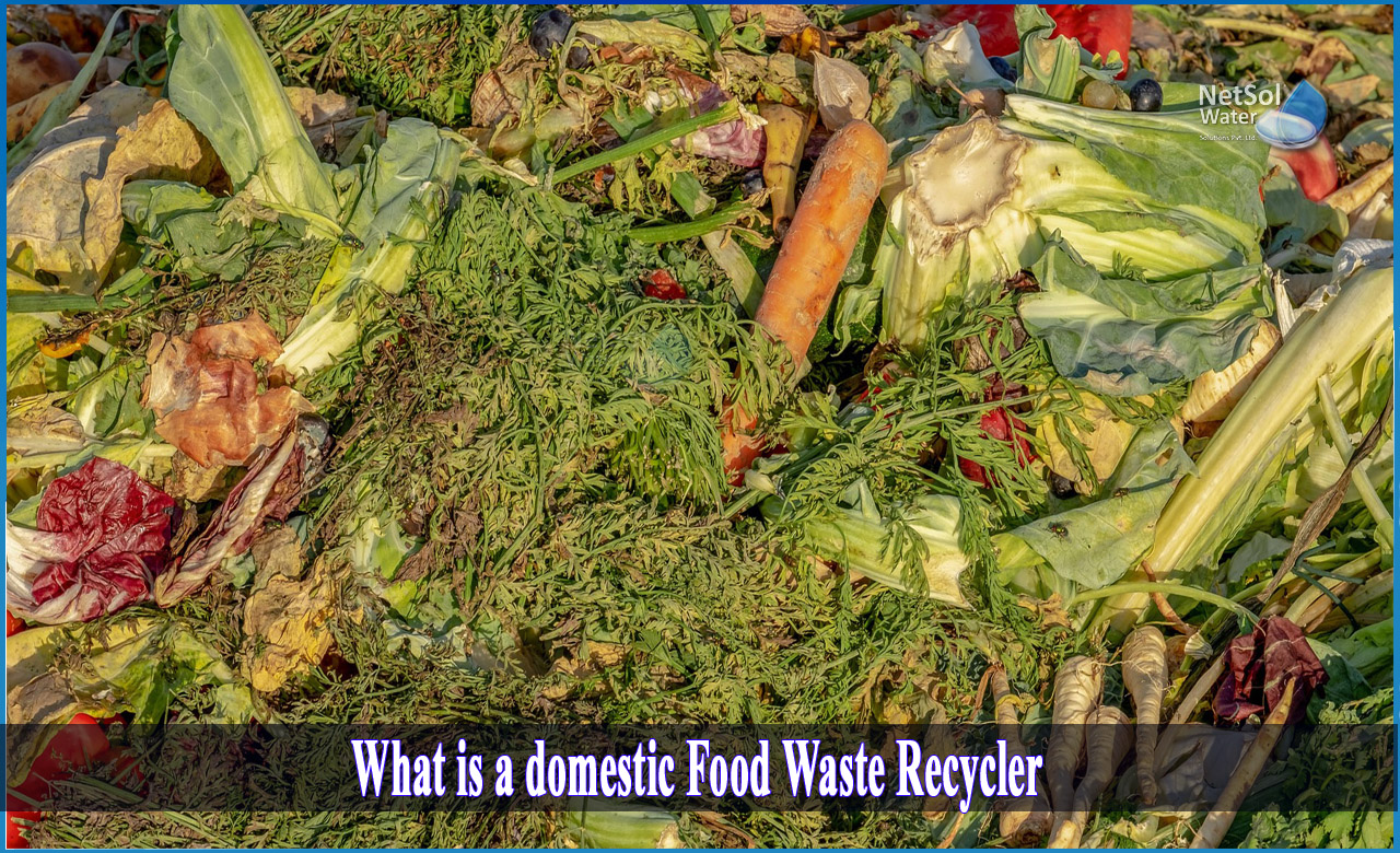 how to recycle food waste at home, smart ways to recycle food waste, reduce reuse recycle food waste