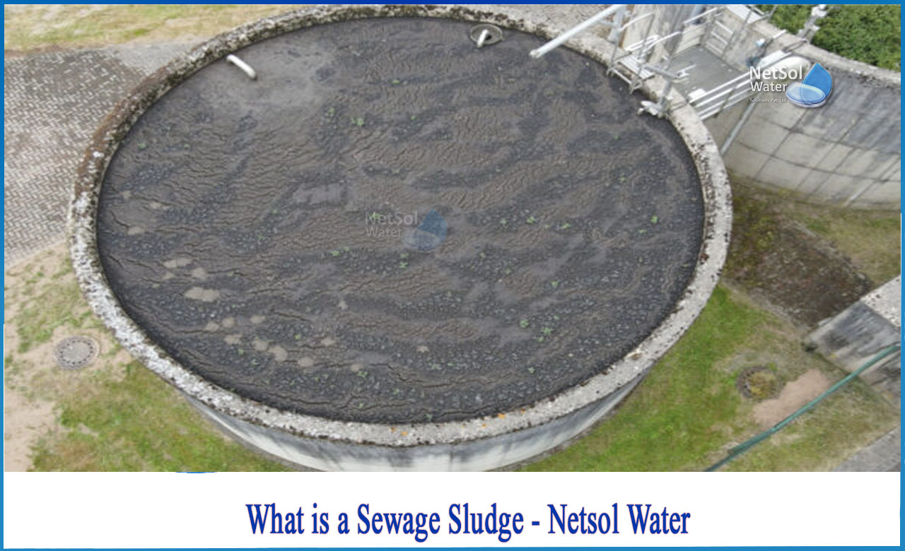 sewage sludge as fertilizer, is sewage sludge biodegradable, disadvantages of using sewage sludge in agriculture