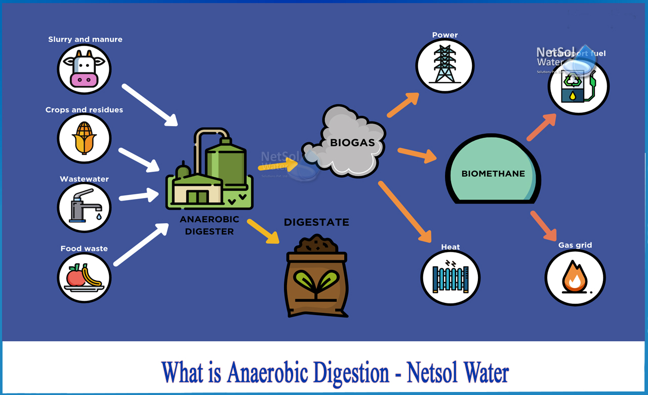 how does anaerobic digestion work, what are the two main products of anaerobic digestion, anaerobic digestion wastewater treatment