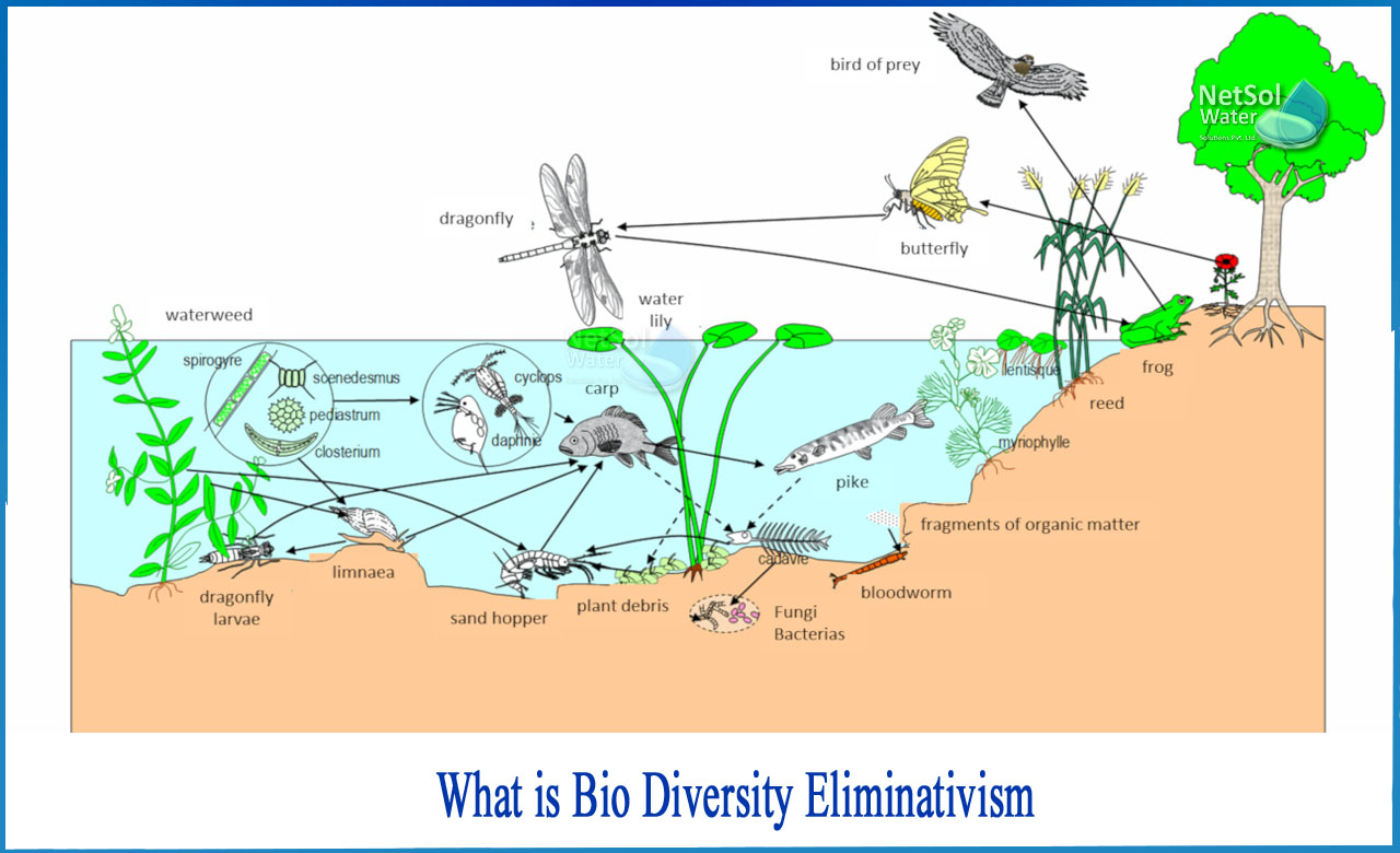 what is biodiversity, types of biodiversity, why is biodiversity important, who coined the term biodiversity