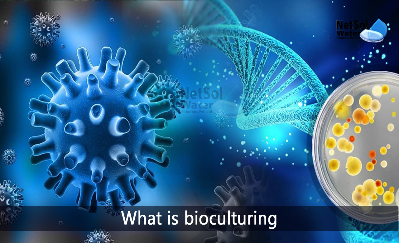 What is bioculturing, Applications of bio culture, What is a microbial culture
