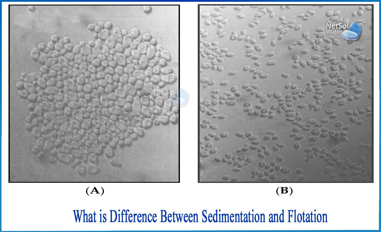 difference between sedimentation and flotation technique, what is the difference between residue and filtrate, sedimentation and decantation