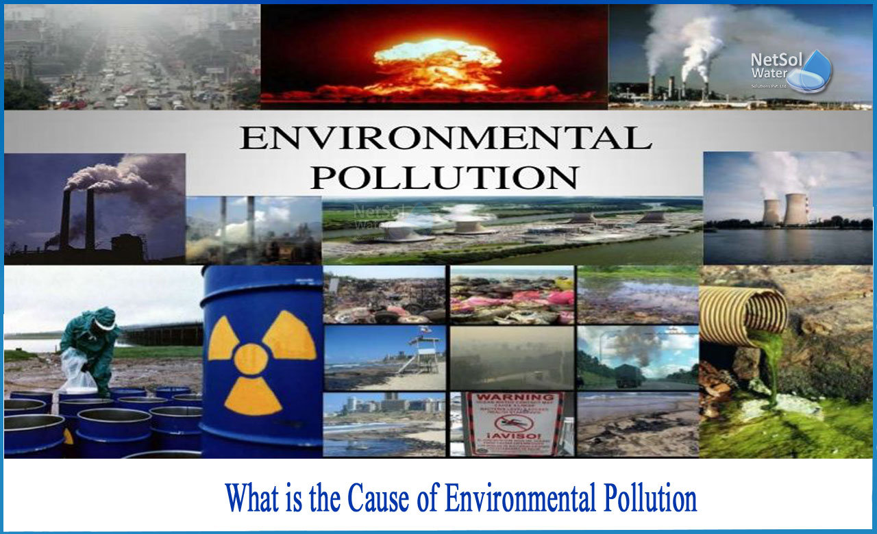 what are the effects of environmental pollution, what is environmental pollution, causes and effects of environmental pollution