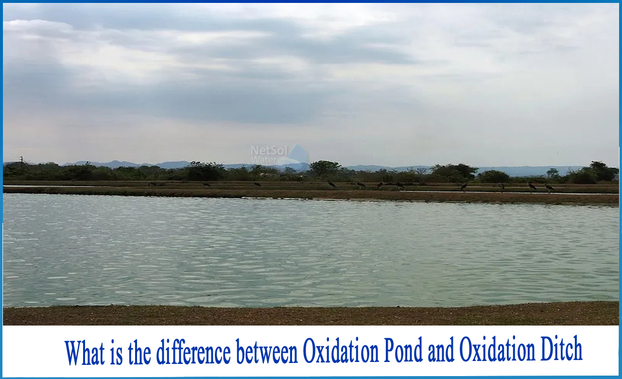 what is oxidation ditch, oxidation ditch and oxidation pond, difference between oxidation ditch and aerated lagoon