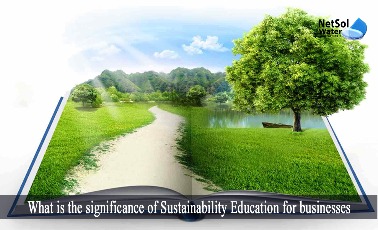 why sustainability is important for business, importance of sustainability in businesssustainability education programs