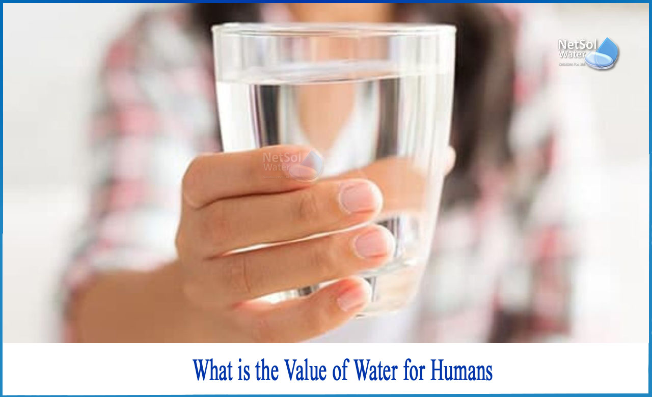what are the benefits of drinking a lot of water, why is water important to humans, what is the importance of water